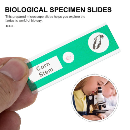 RetreatScope™ Prepared Microscope Slide Set