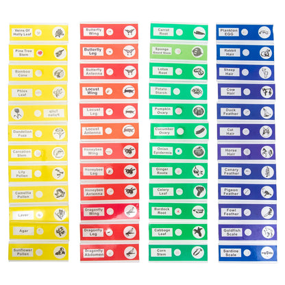 RetreatScope™ Prepared Microscope Slide Set